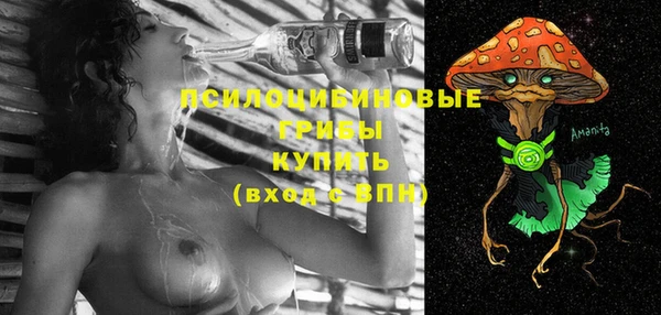 хмурый Абинск